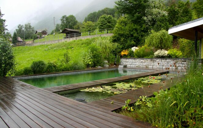 Piscine avec lame d'eau BioNova © BioNova