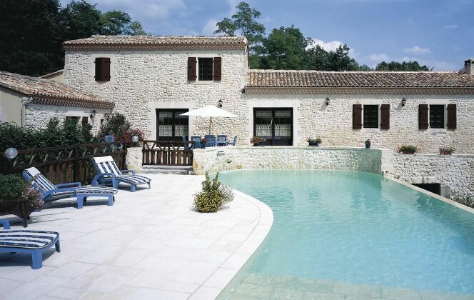 Piscine forme libre avec plage immergée en pierre Carré Bleu © François Deladerrière