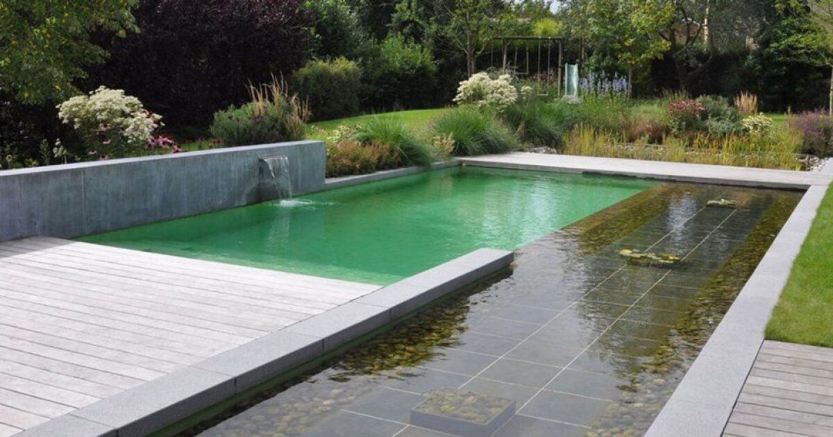 Piscine classique VS piscine naturelle comparaison