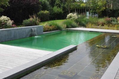 Piscine classique VS piscine naturelle : comparaison