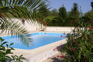 Dessinez votre piscine au centimètre près !
Le choix des dimensions, le choix des escaliers...