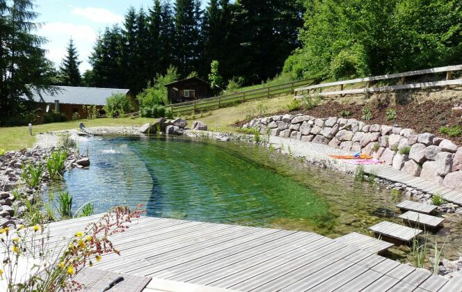 Piscine naturelle avec terrasse en bois BioNova © BioNova