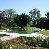 Piscines naturelles, écologiques ou biologiques