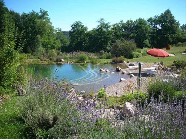 Piscine naturelle forme libre avec plage BioNova