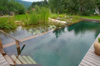 Piscine naturelle : un bassin bio dans votre jardin