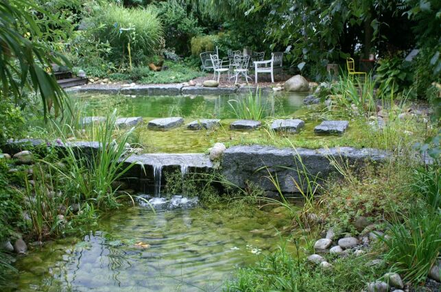 Piscine paysagère avec petite cascade BioNova