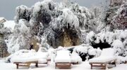 Piscine sous la neige