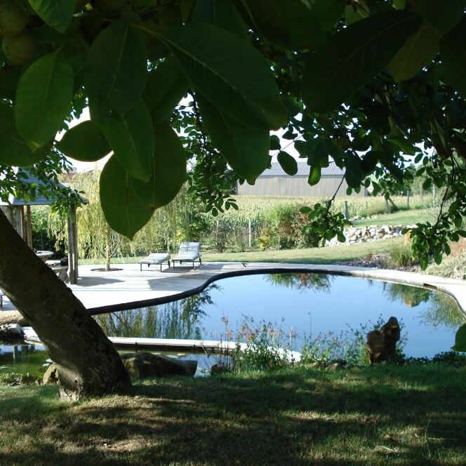 Piscine naturelle ombragée par Patrick Lemaire Paysage © Patrick Lemaire Paysage