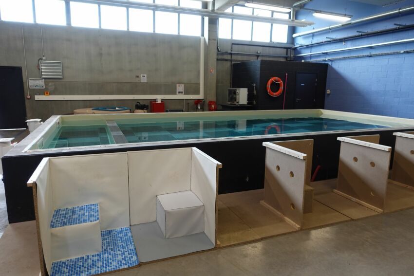 Une partie du plateau technique: espace de travaux pratiques dédié à la pose d'un revêtement de piscine&nbsp;&nbsp;