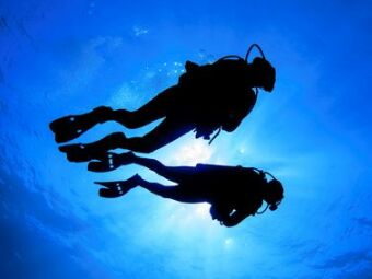 Plongée sous-marine : les paliers de décompression