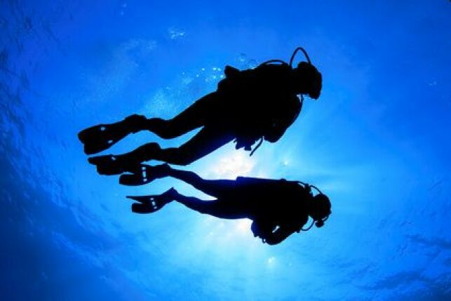 Plongée sous-marine : les paliers de décompression