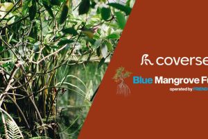 Coverseal réduit ses émissions de CO2 avec le projet Mangrove Fund