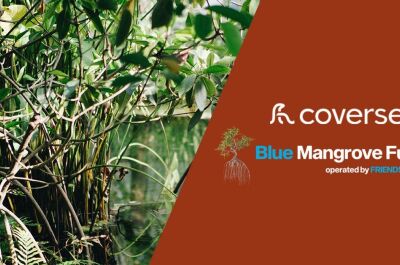 Coverseal réduit ses émissions de CO2 avec le projet Mangrove Fund