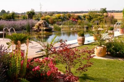 Protéger et tailler les plantes d’une piscine naturelle en hiver