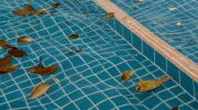 Protéger sa piscine en automne : les essentiels à savoir