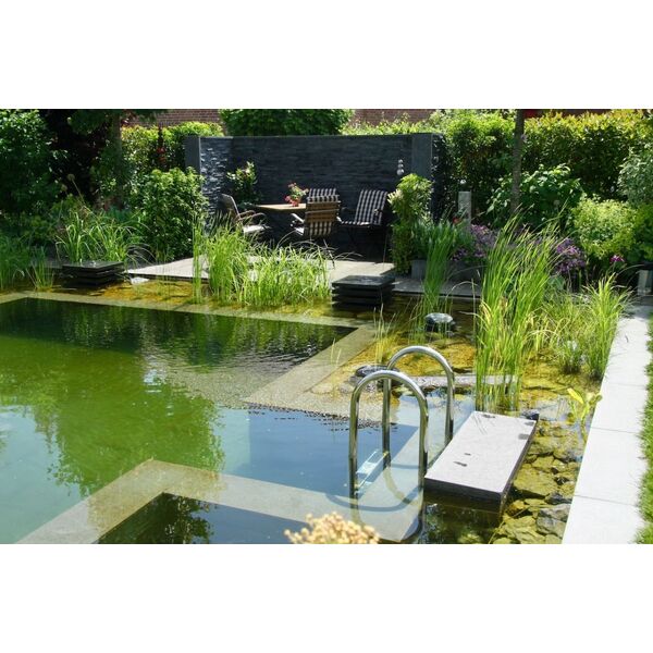 Quelle Pompe Pour Une Piscine Naturelle