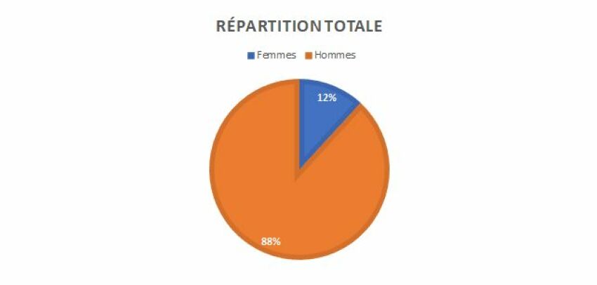 Répartition hommes / femmes dans le domaine du BTP, tous métiers confondus&nbsp;&nbsp;