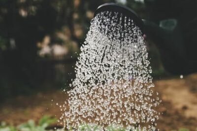 Sécheresse : la Ville de Niort recycle l'eau des piscines pour arroser les plantes