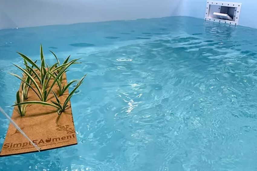 SimplEAUment présente Piscinotron, pour convertir sa piscine traditionnelle en piscine naturelle&nbsp;&nbsp;