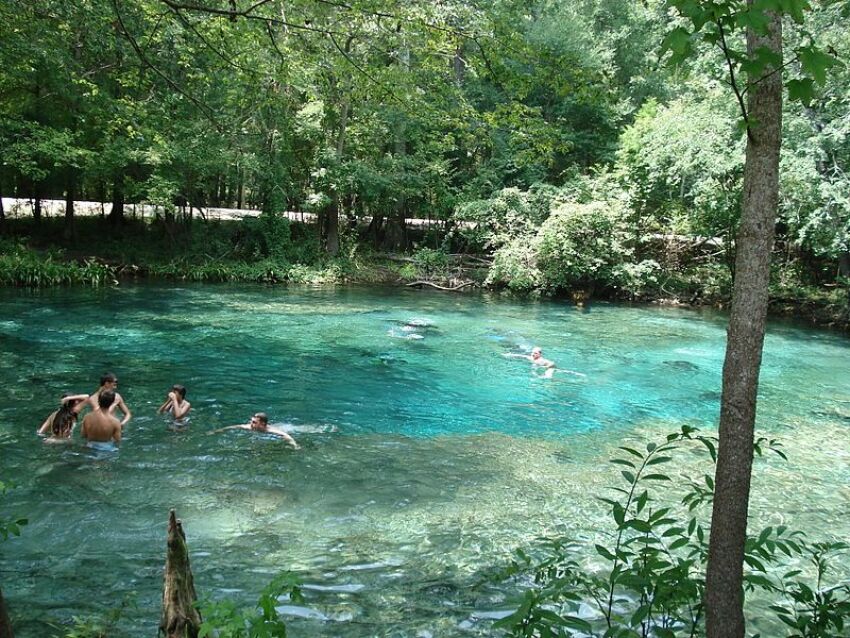 Sources de Ginnie Springs&nbsp;&nbsp;