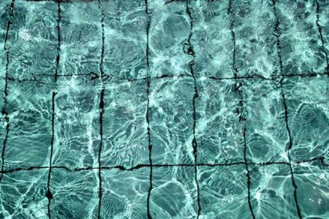 Les algues peuvent rapidement apparaître dans une piscine, surtout en cas de grosse chaleur.