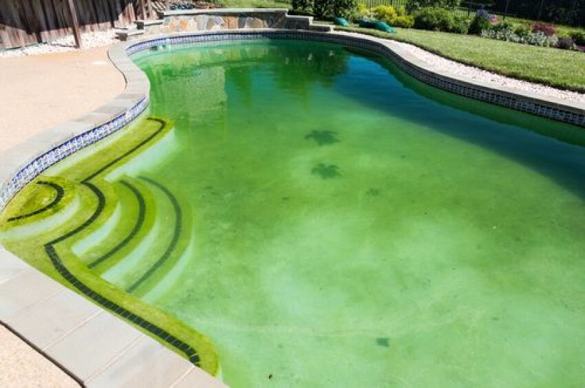 Traiter les algues dans votre piscine efficacement avec hth®&nbsp;&nbsp;