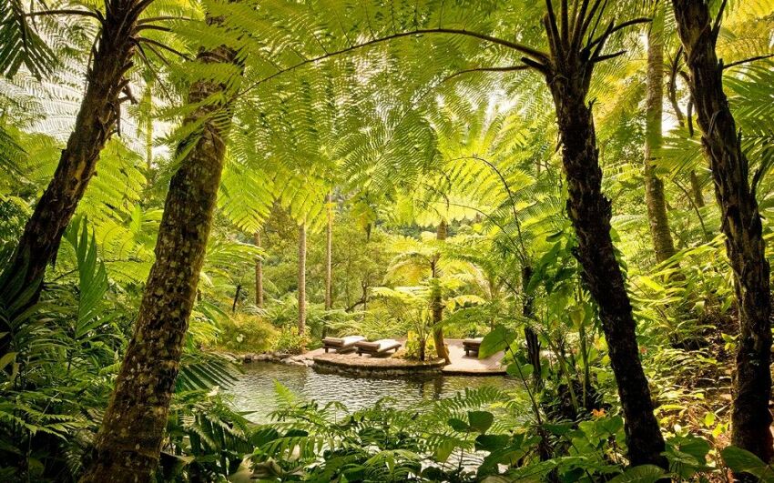 Un moment de détente au coeur de la jungle balinaise au Como Shambhala Estate 