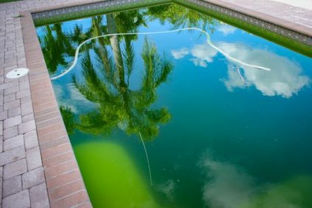 Une eau de piscine verte 