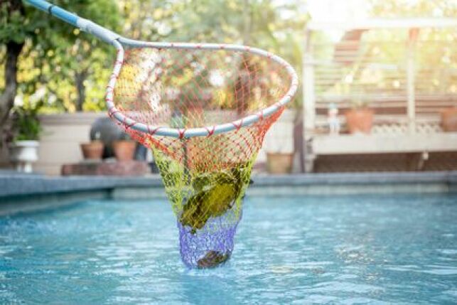 Une épuisette pour l’entretien de la piscine