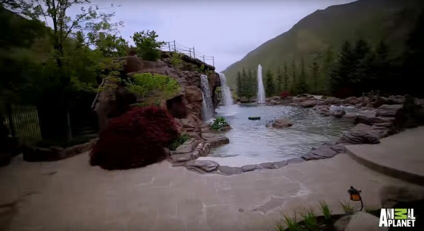 Une magnifique piscine privée à l'air naturel &nbsp;&nbsp;