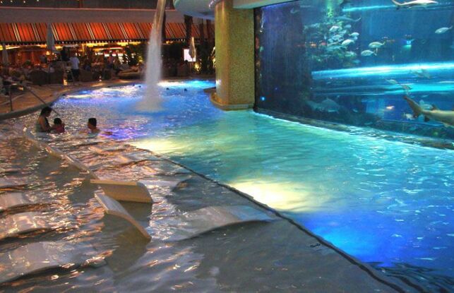 Une piscine pour nage un milieu des poissons et des requins au Golden Nugget Hotel