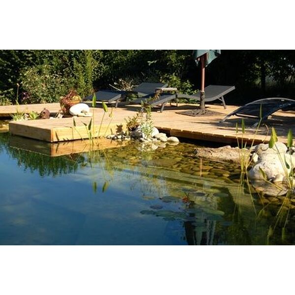 Traiter Une Piscine De Façon écologique