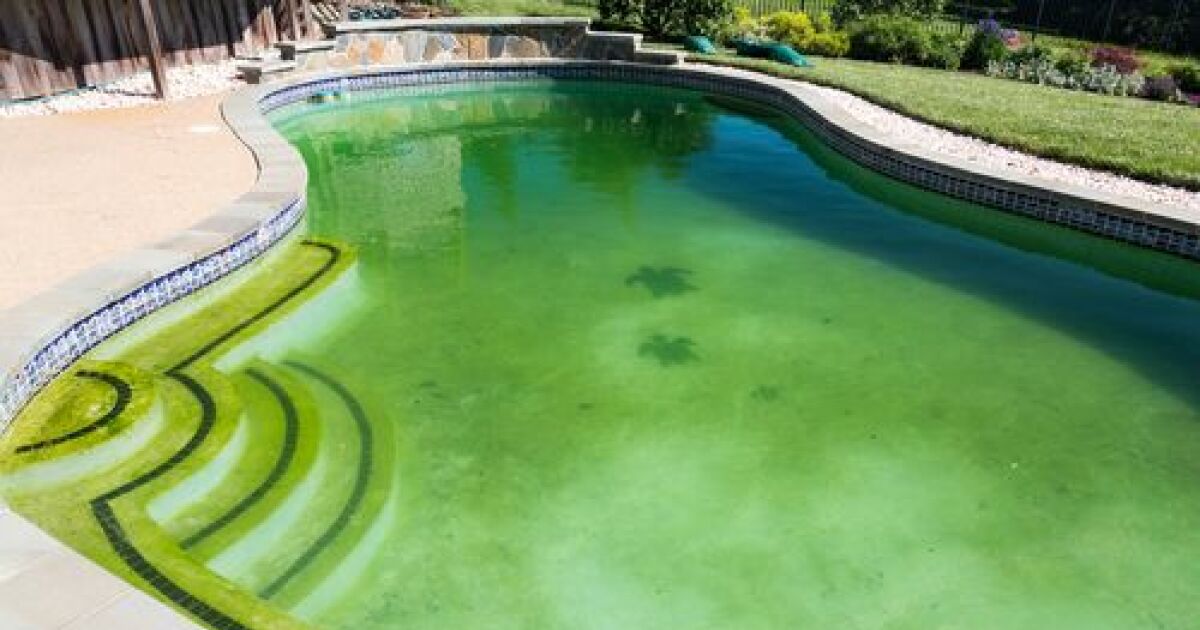 piscine tubulaire eau verte