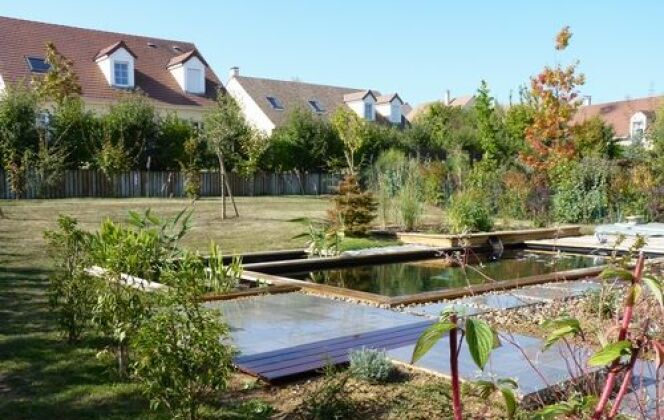 Unité harmonieuse de la piscine naturelle et du jardin © Patrick Lemaire Paysage