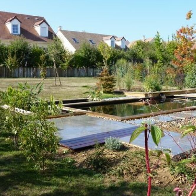 Unité harmonieuse de la piscine naturelle et du jardin © Patrick Lemaire Paysage