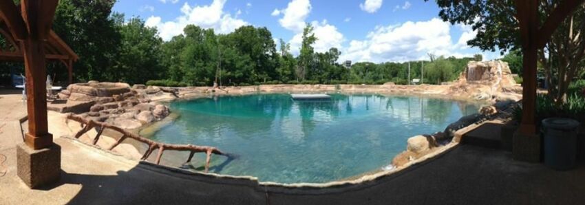 Vue panoramique de la piscine de Micky Thornton&nbsp;&nbsp;